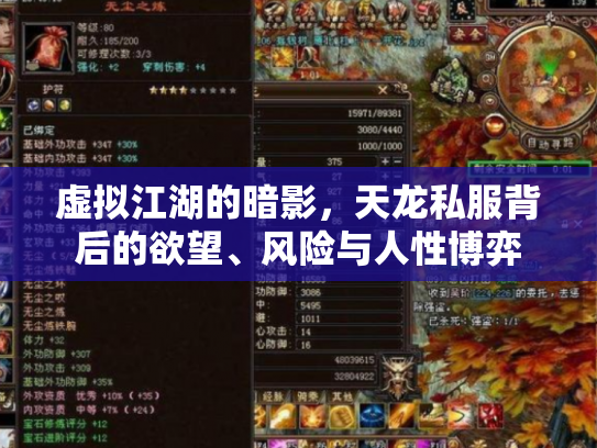 虚拟江湖的暗影，天龙私服背后的欲望、风险与人性博弈