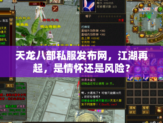 天龙八部私服发布网，江湖再起，是情怀还是风险？