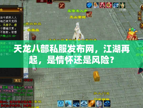 天龙八部私服发布网，江湖再起，是情怀还是风险？
