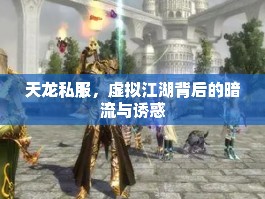 天龙私服，虚拟江湖背后的暗流与诱惑
