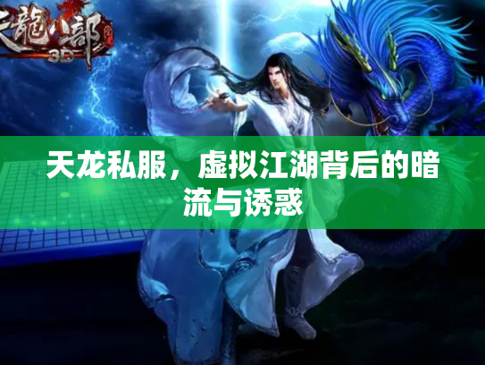 天龙私服，虚拟江湖背后的暗流与诱惑