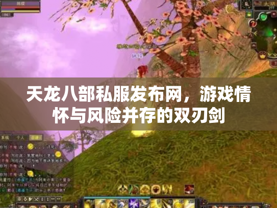 天龙八部私服发布网，游戏情怀与风险并存的双刃剑