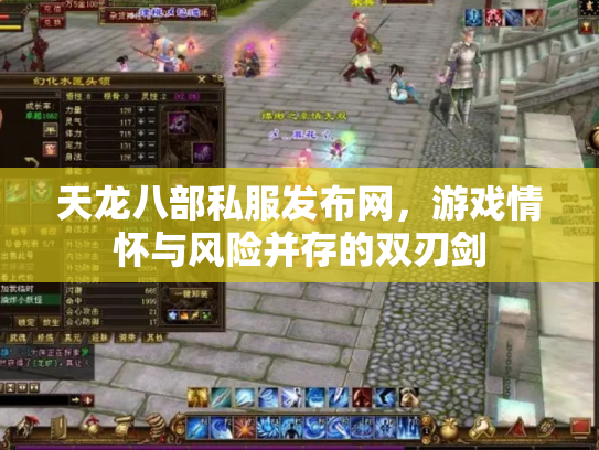 天龙八部私服发布网，游戏情怀与风险并存的双刃剑
