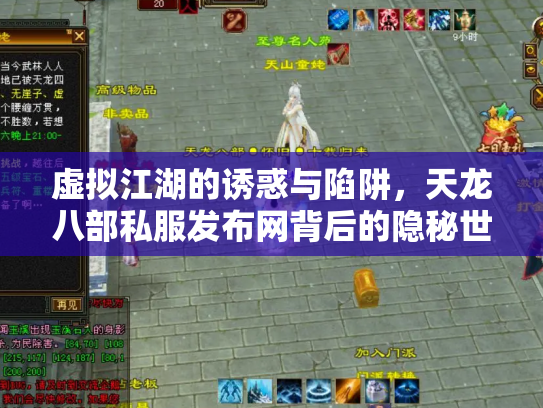 虚拟江湖的诱惑与陷阱，天龙八部私服发布网背后的隐秘世界