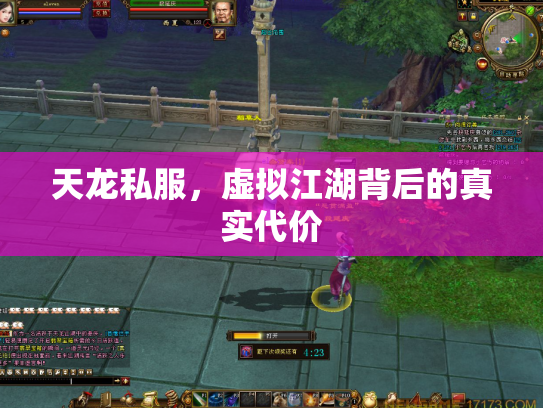 天龙私服，虚拟江湖背后的真实代价