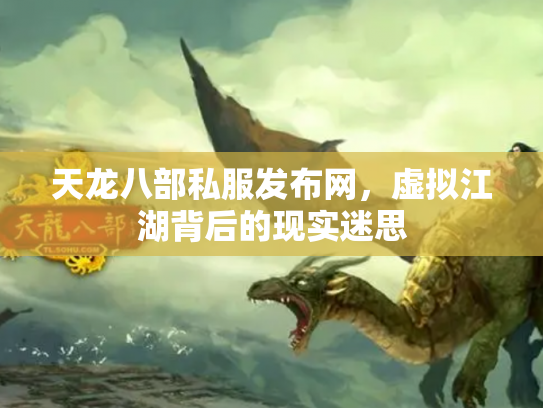 天龙八部私服发布网，虚拟江湖背后的现实迷思