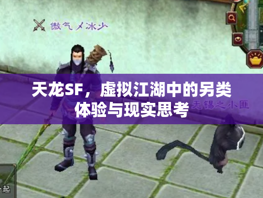 天龙SF，虚拟江湖中的另类体验与现实思考