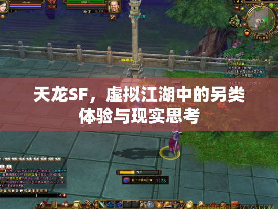 天龙SF，虚拟江湖中的另类体验与现实思考