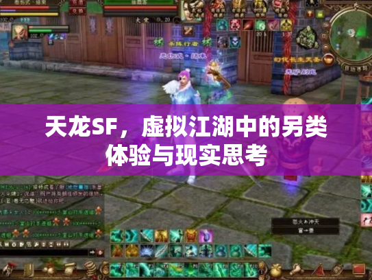 天龙SF，虚拟江湖中的另类体验与现实思考