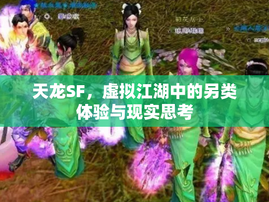 天龙SF，虚拟江湖中的另类体验与现实思考