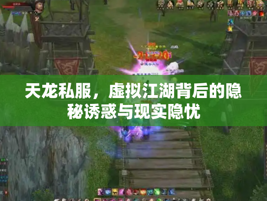天龙私服，虚拟江湖背后的隐秘诱惑与现实隐忧