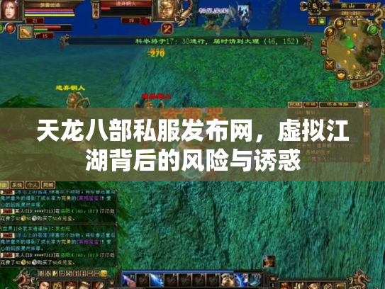天龙八部私服发布网，虚拟江湖背后的风险与诱惑