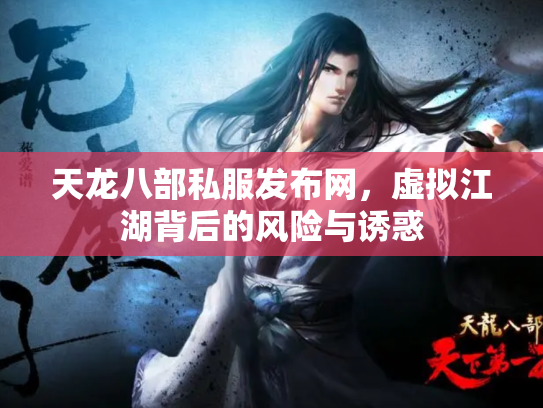 天龙八部私服发布网，虚拟江湖背后的风险与诱惑