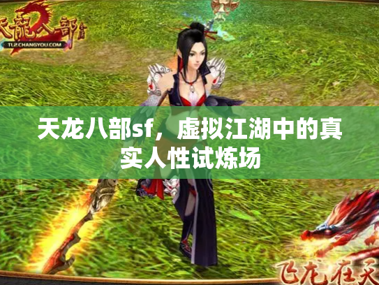 天龙八部sf，虚拟江湖中的真实人性试炼场