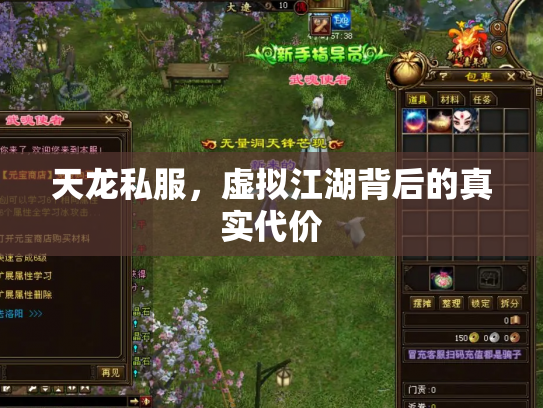 天龙私服，虚拟江湖背后的真实代价