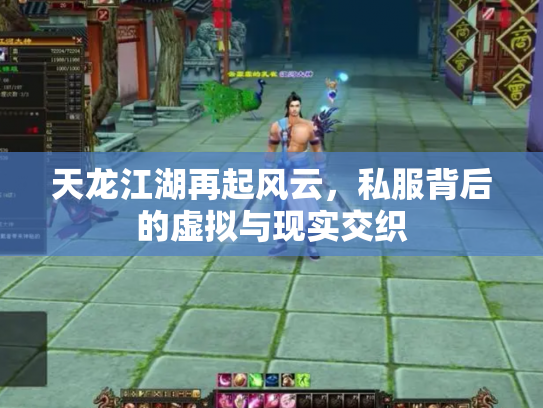天龙江湖再起风云，私服背后的虚拟与现实交织