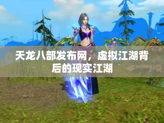天龙八部发布网，虚拟江湖背后的现实江湖