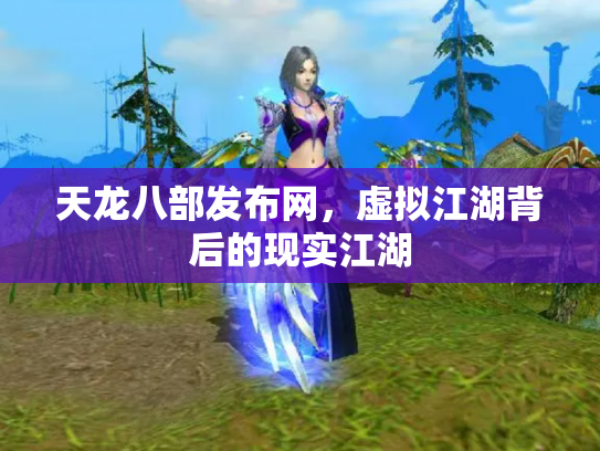 天龙八部发布网，虚拟江湖背后的现实江湖