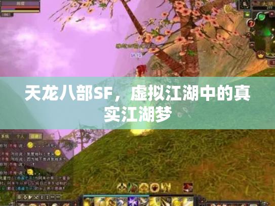 天龙八部SF，虚拟江湖中的真实江湖梦