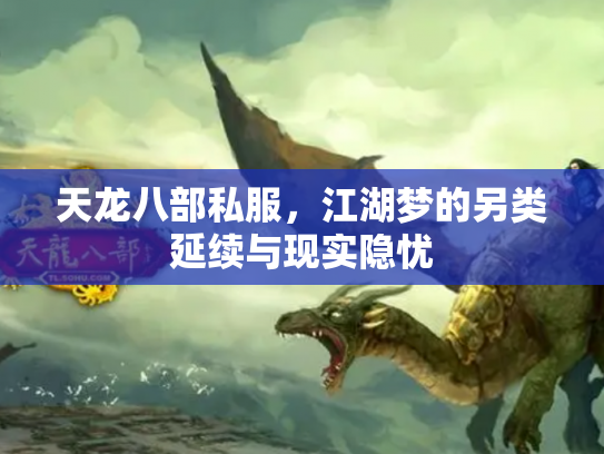 天龙八部私服，江湖梦的另类延续与现实隐忧