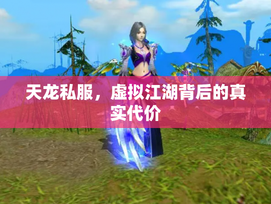 天龙私服，虚拟江湖背后的真实代价