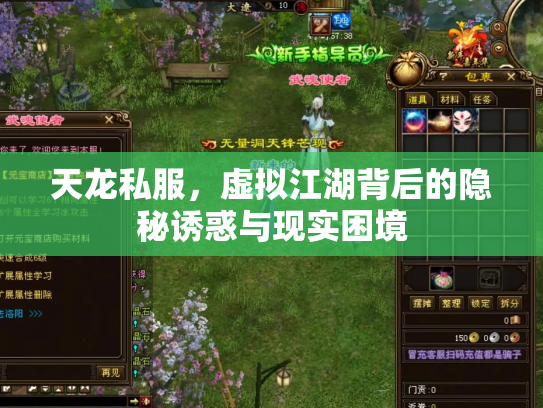 天龙私服，虚拟江湖背后的隐秘诱惑与现实困境
