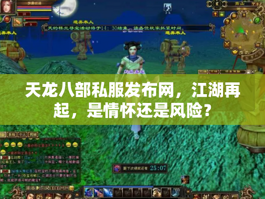 天龙八部私服发布网，江湖再起，是情怀还是风险？
