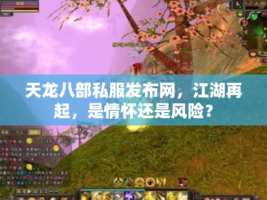 天龙八部私服发布网，江湖再起，是情怀还是风险？