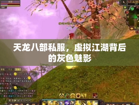 天龙八部私服，虚拟江湖背后的灰色魅影