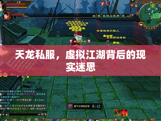 天龙私服，虚拟江湖背后的现实迷思