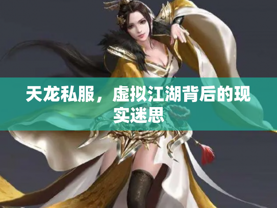 天龙私服，虚拟江湖背后的现实迷思
