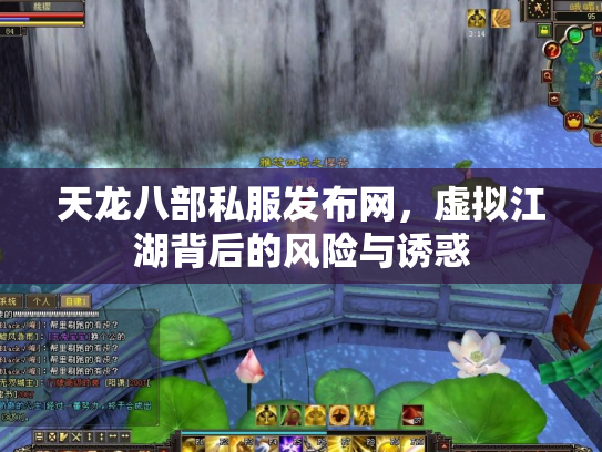 天龙八部私服发布网，虚拟江湖背后的风险与诱惑