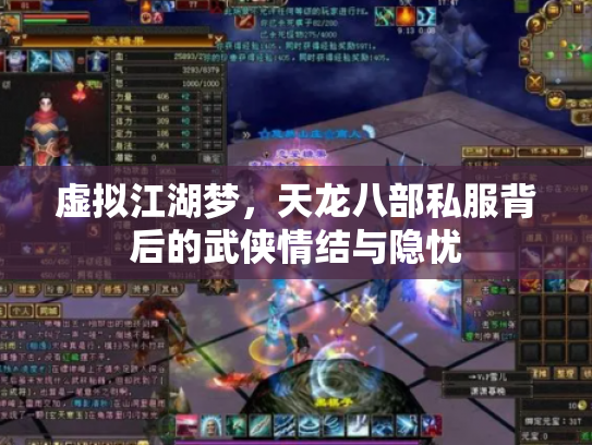 虚拟江湖梦，天龙八部私服背后的武侠情结与隐忧
