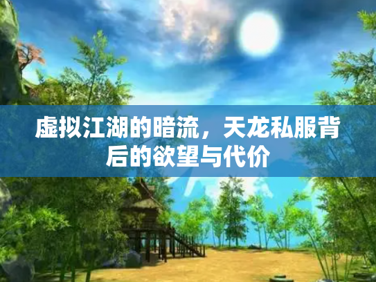 虚拟江湖的暗流，天龙私服背后的欲望与代价