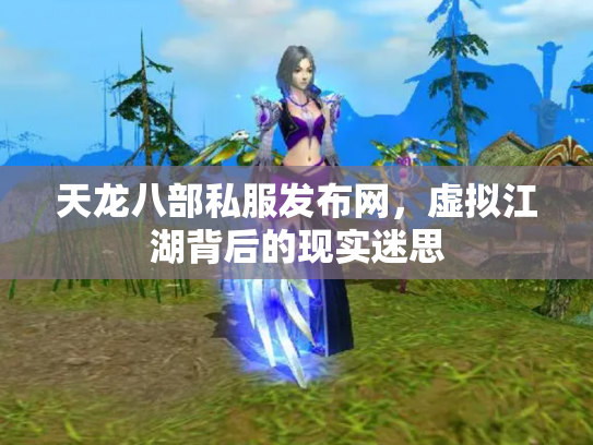 天龙八部私服发布网，虚拟江湖背后的现实迷思