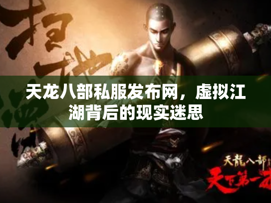 天龙八部私服发布网，虚拟江湖背后的现实迷思