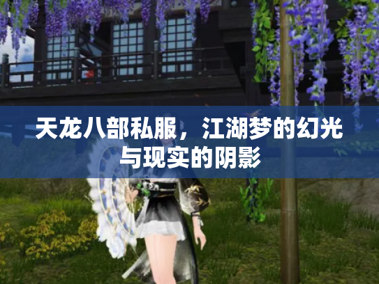 天龙八部私服，江湖梦的幻光与现实的阴影