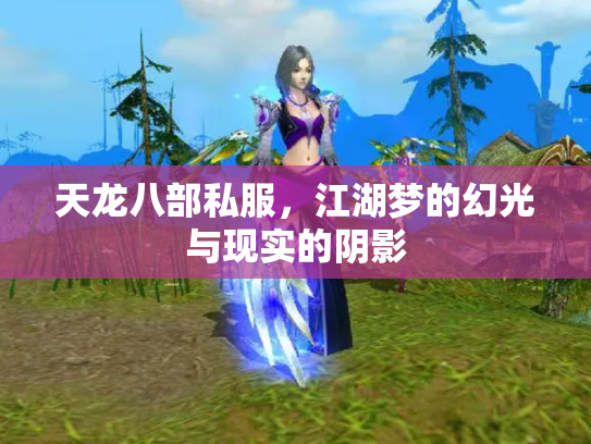 天龙八部私服，江湖梦的幻光与现实的阴影
