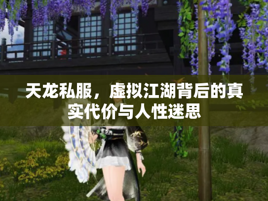 天龙私服，虚拟江湖背后的真实代价与人性迷思