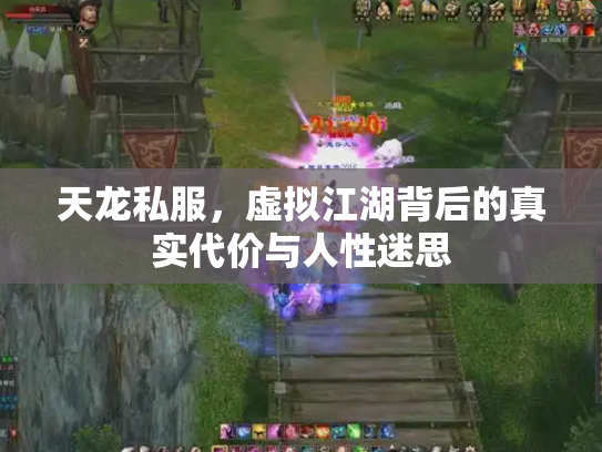 天龙私服，虚拟江湖背后的真实代价与人性迷思