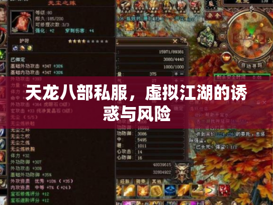 天龙八部私服，虚拟江湖的诱惑与风险