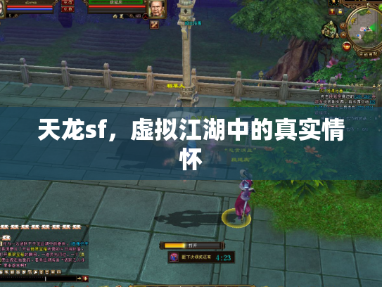 天龙sf，虚拟江湖中的真实情怀