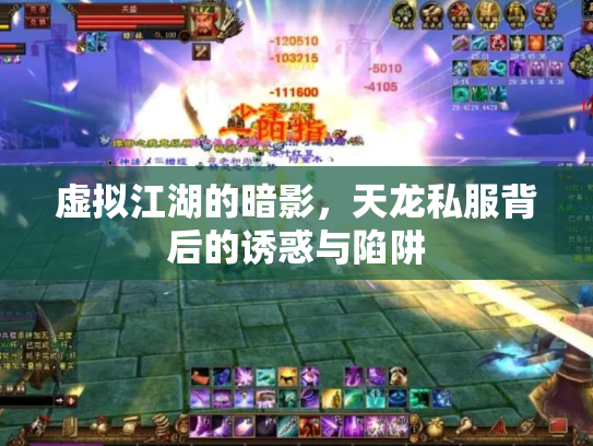 虚拟江湖的暗影，天龙私服背后的诱惑与陷阱