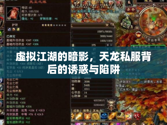 虚拟江湖的暗影，天龙私服背后的诱惑与陷阱