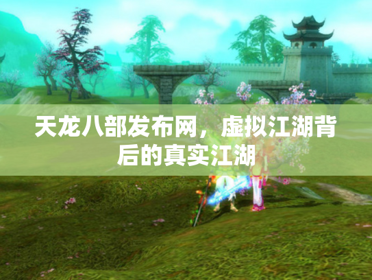 天龙八部发布网，虚拟江湖背后的真实江湖