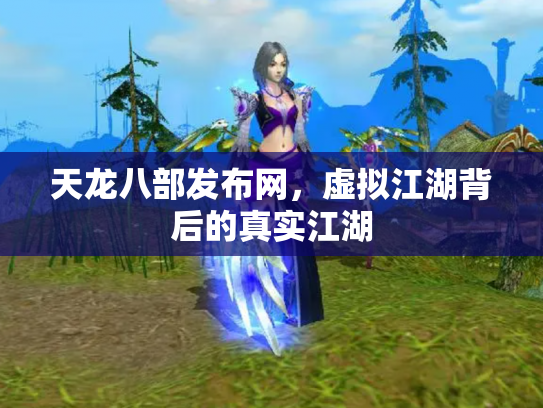 天龙八部发布网，虚拟江湖背后的真实江湖