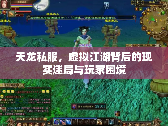 天龙私服，虚拟江湖背后的现实迷局与玩家困境