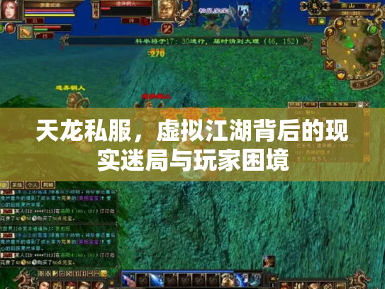 天龙私服，虚拟江湖背后的现实迷局与玩家困境