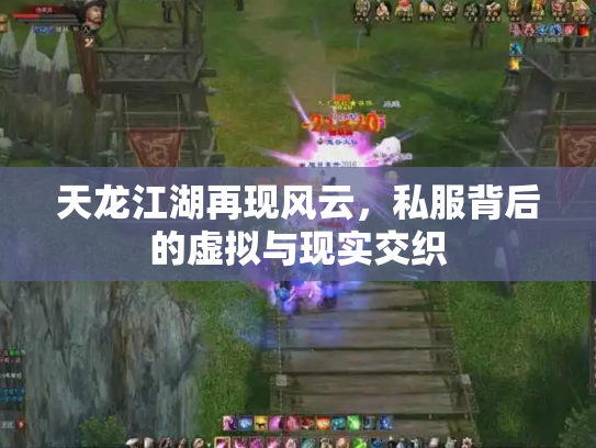 天龙江湖再现风云，私服背后的虚拟与现实交织
