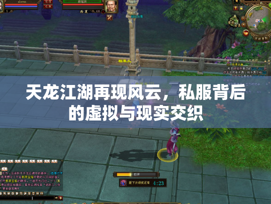 天龙江湖再现风云，私服背后的虚拟与现实交织